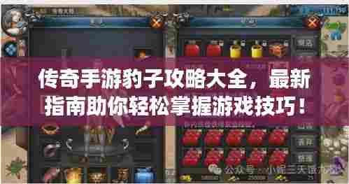 传奇手游豹子攻略大全，最新指南助你轻松掌握游戏技巧！