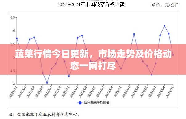蔬菜行情今日更新,市场走势及价格动态一网打尽