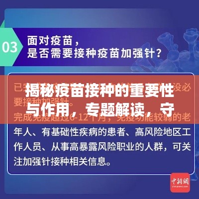 揭秘疫苗接种的重要性与作用，专题解读，守护健康！
