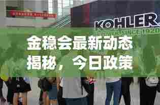 金稳会最新动态揭秘，今日政策动向与市场反应速览