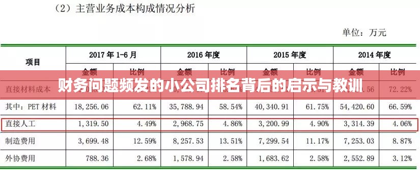 财务问题频发的小公司排名背后的启示与教训