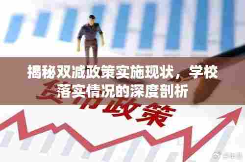 揭秘双减政策实施现状，学校落实情况的深度剖析