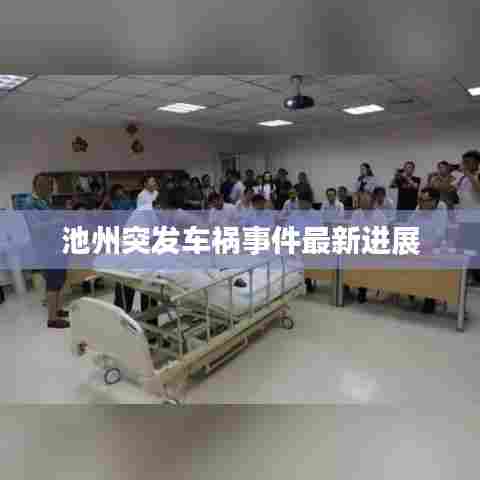 池州突发车祸事件最新进展
