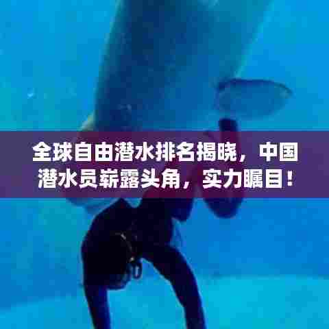 全球自由潜水排名揭晓，中国潜水员崭露头角，实力瞩目！
