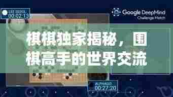 棋棋独家揭秘,围棋高手的世界交流视频