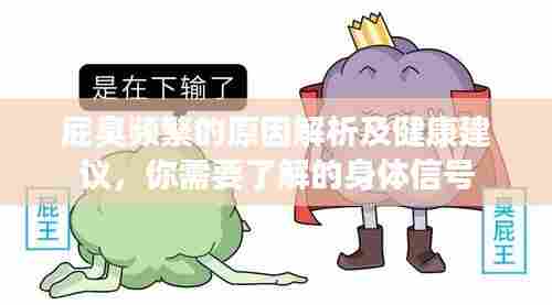 屁臭频繁的原因解析及健康建议，你需要了解的身体信号