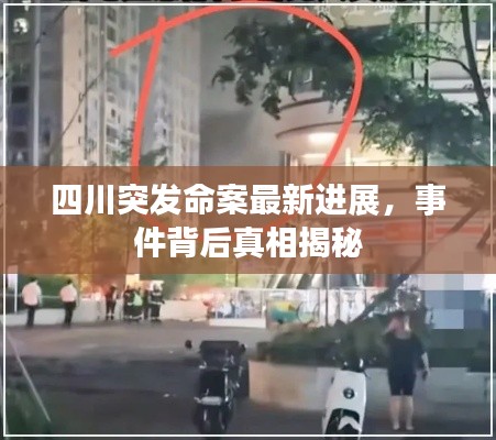 四川突发命案最新进展，事件背后真相揭秘