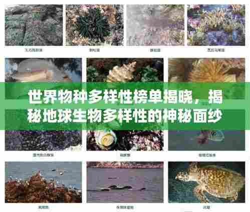 世界物种多样性榜单揭晓，揭秘地球生物多样性的神秘面纱