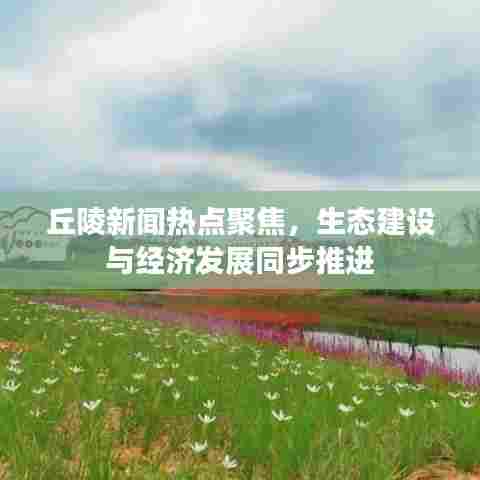 丘陵新闻热点聚焦，生态建设与经济发展同步推进