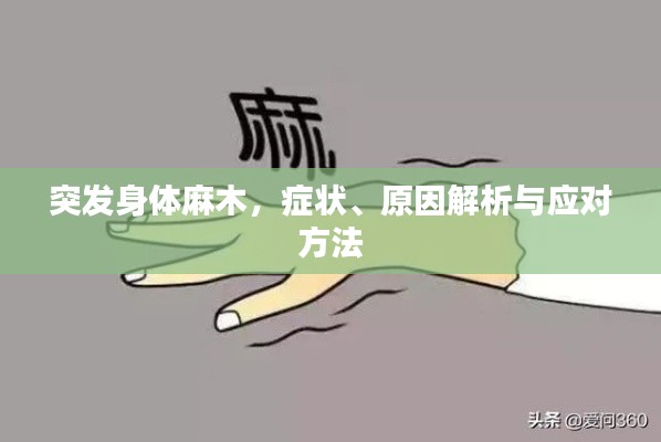 突发身体麻木，症状、原因解析与应对方法