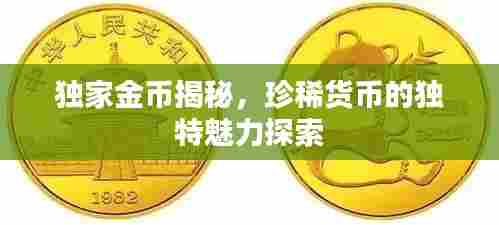 独家金币揭秘，珍稀货币的独特魅力探索
