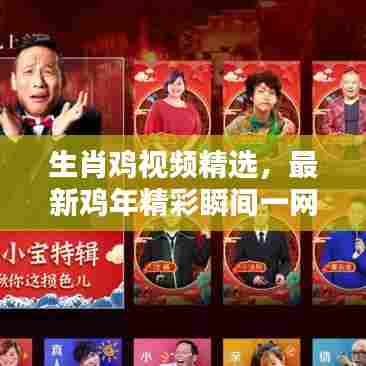 生肖鸡视频精选，最新鸡年精彩瞬间一网打尽