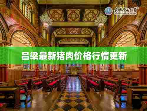 吕梁最新猪肉价格行情更新