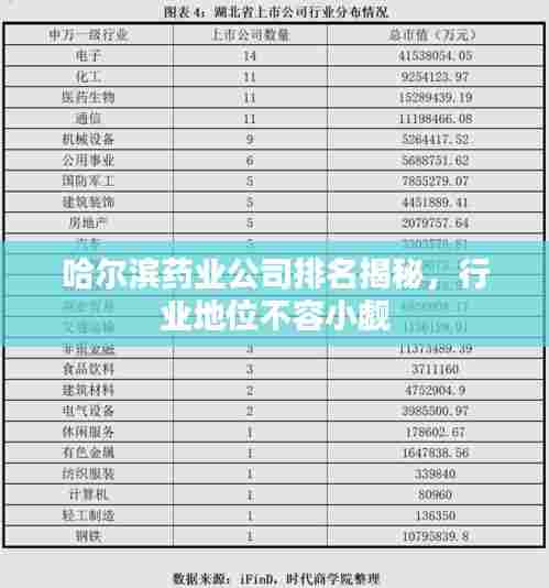 哈尔滨药业公司排名揭秘，行业地位不容小觑