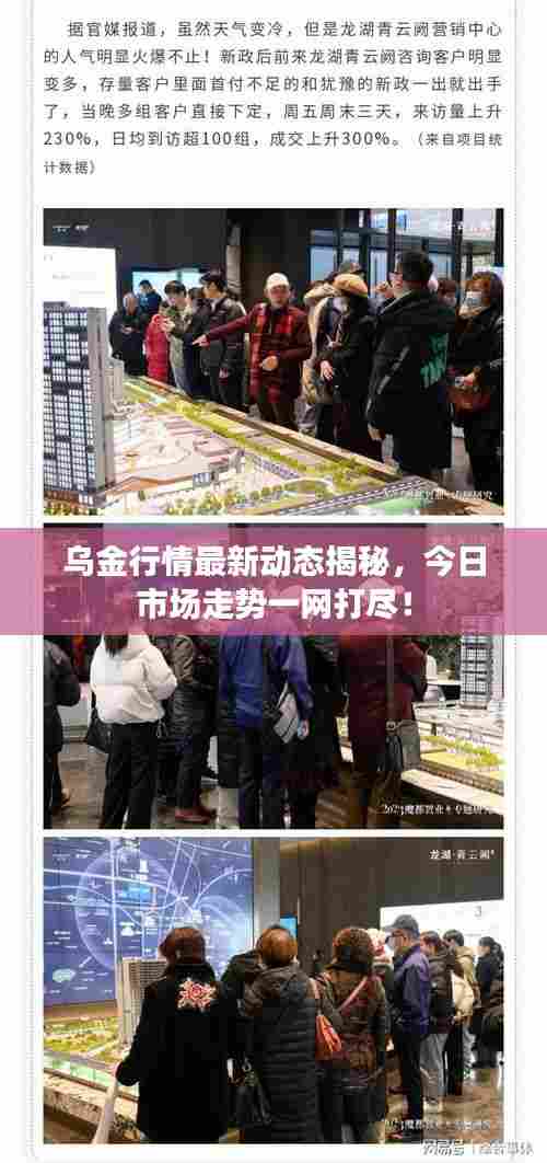 乌金行情最新动态揭秘，今日市场走势一网打尽！