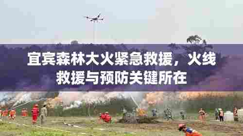 宜宾森林大火紧急救援，火线救援与预防关键所在