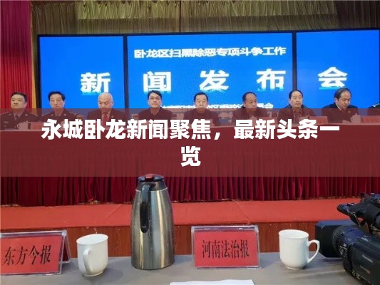 永城卧龙新闻聚焦，最新头条一览