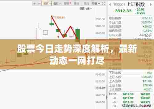 股票今日走势深度解析，最新动态一网打尽