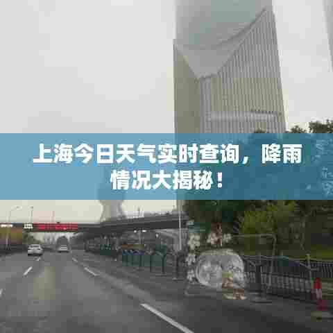 上海今日天气实时查询，降雨情况大揭秘！
