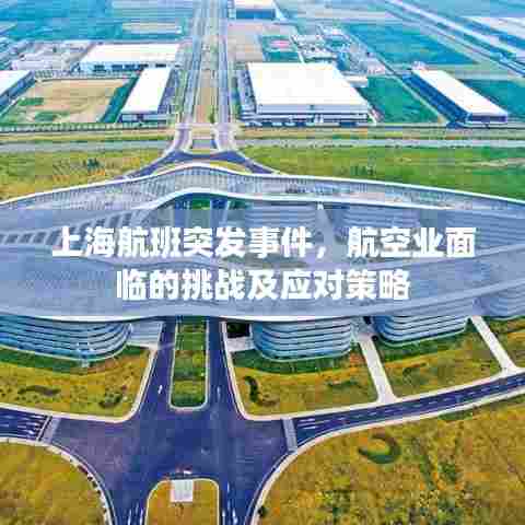 上海航班突发事件,航空业面临的挑战及应对策略