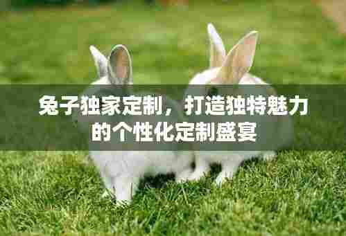 兔子独家定制，打造独特魅力的个性化定制盛宴