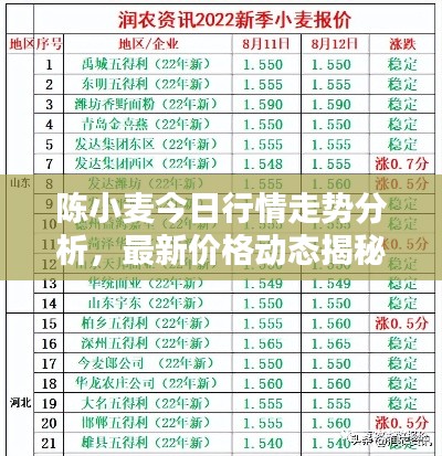 陈小麦今日行情走势分析，最新价格动态揭秘