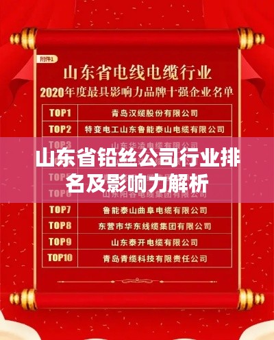 山东省铅丝公司行业排名及影响力解析