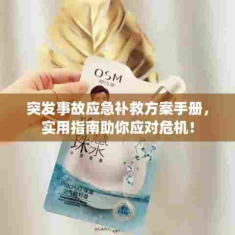 突发事故应急补救方案手册，实用指南助你应对危机！