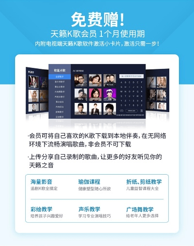 天籁k歌电脑版官方下载,可行性方案评估-4K版_v1.125