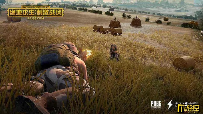 下载绝地求生官方手游跟搞鬼网游单机版,快捷问题解决方案&amp;高级版_v4.511